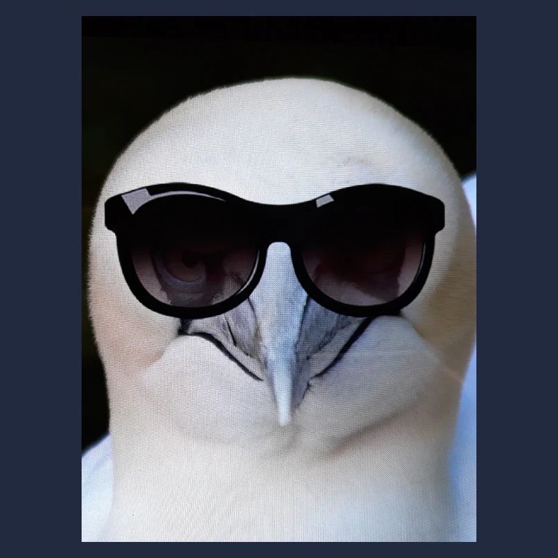 Tölpel, it's cool
