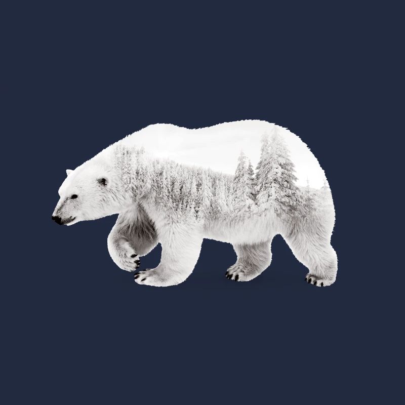Ours arctique