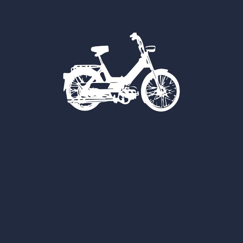 DDR Mobylette Oldtimer Roller Mofa Scooter 2 Takter