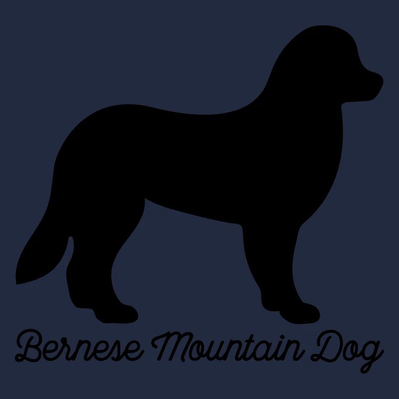 Bouvier bernois