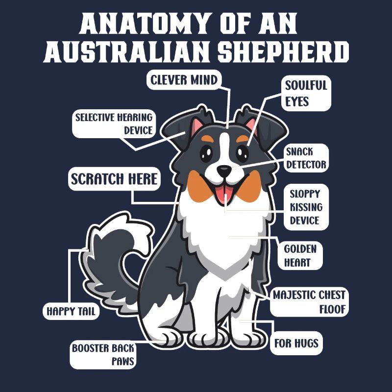 Australian Shepherd Aussie Dad Aussie Mom