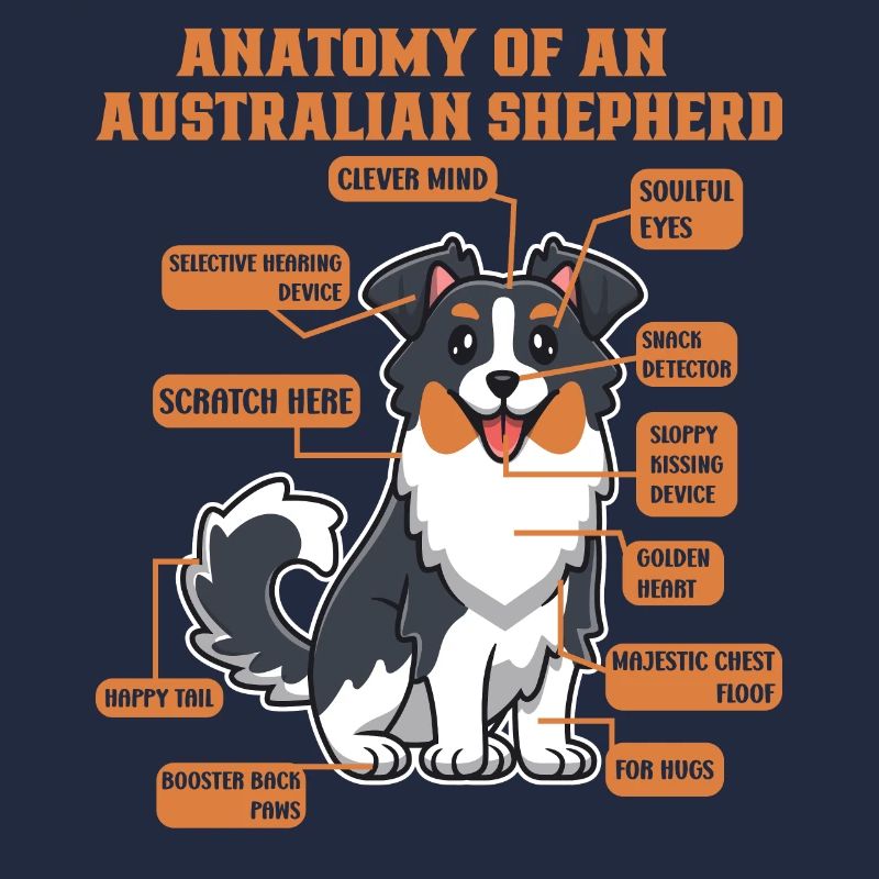Australian Shepherd Aussie Dad Aussie Mom