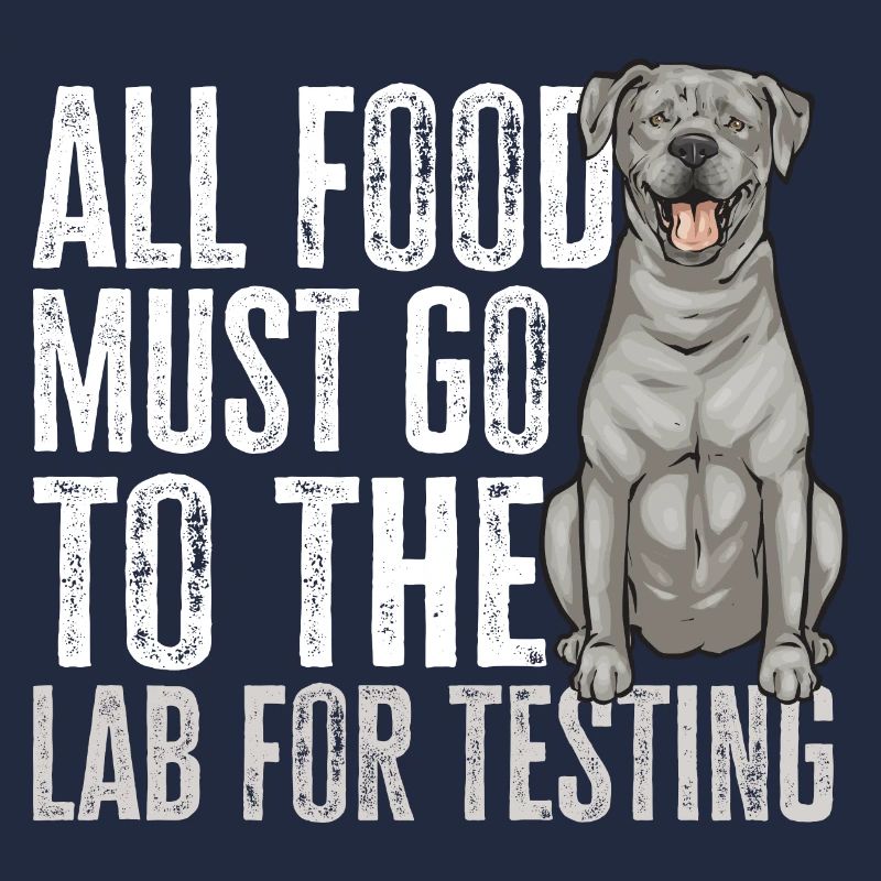 Silver Labrador Retriever Silver Lab
