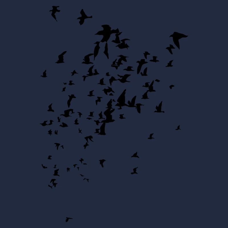 oiseaux