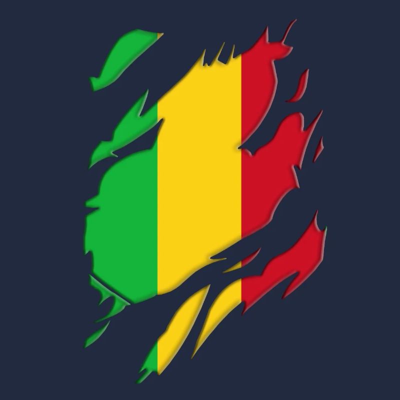 Motif déchiré du drapeau du Mali