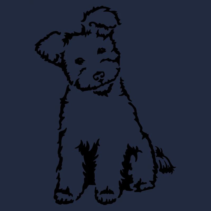 Pumi