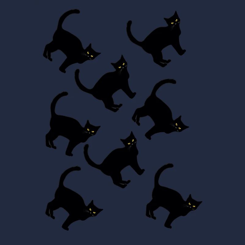 Chat noir