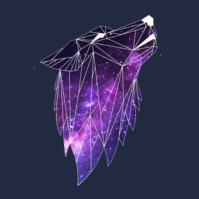 Géométrie Galaxiewolf