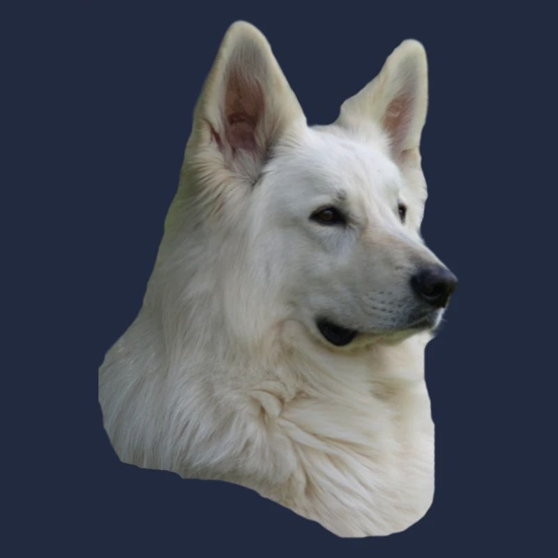 White Shepherd Head