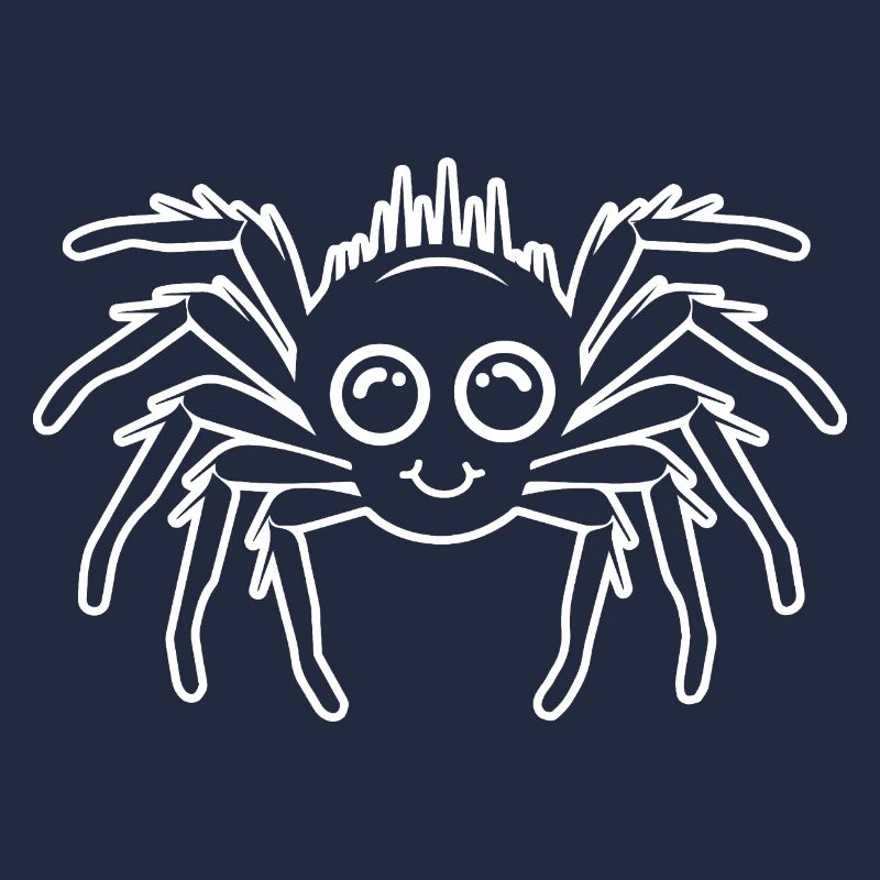 Spider spiders animals