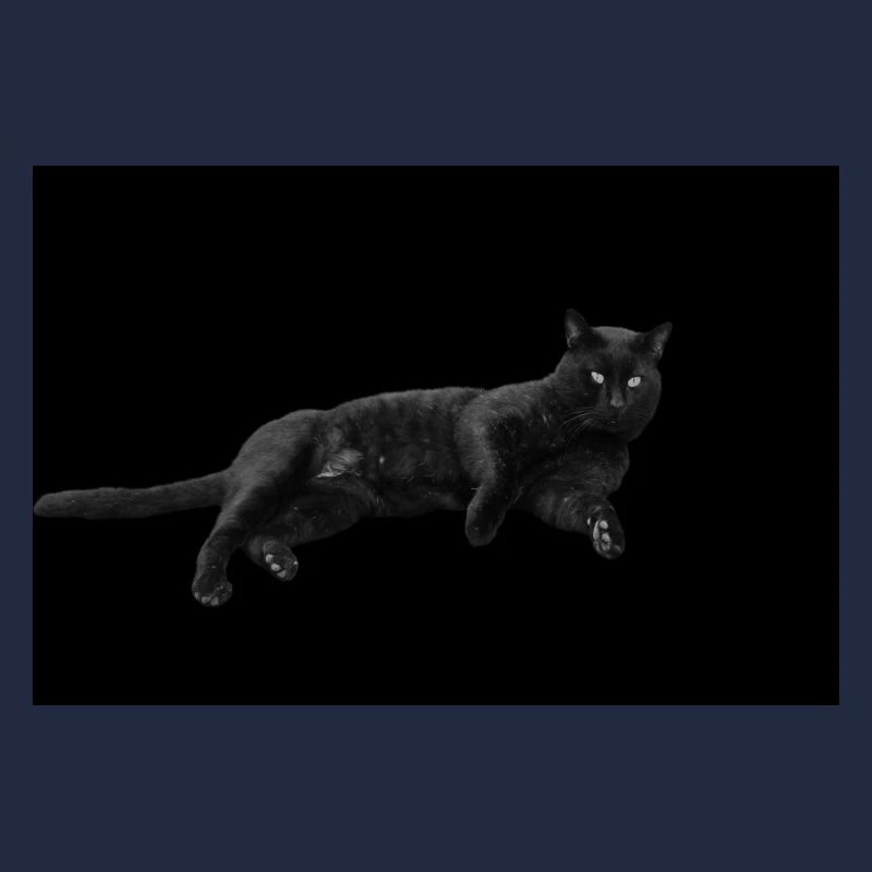 Chat noir Chat Chat Noir Chat Cadeau
