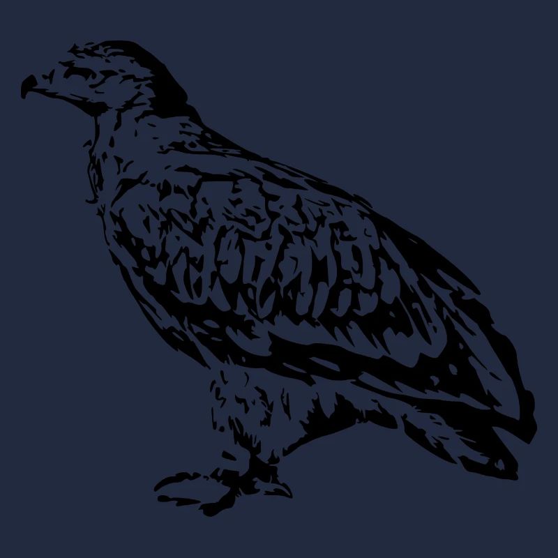 Falken Vogel Vögel
