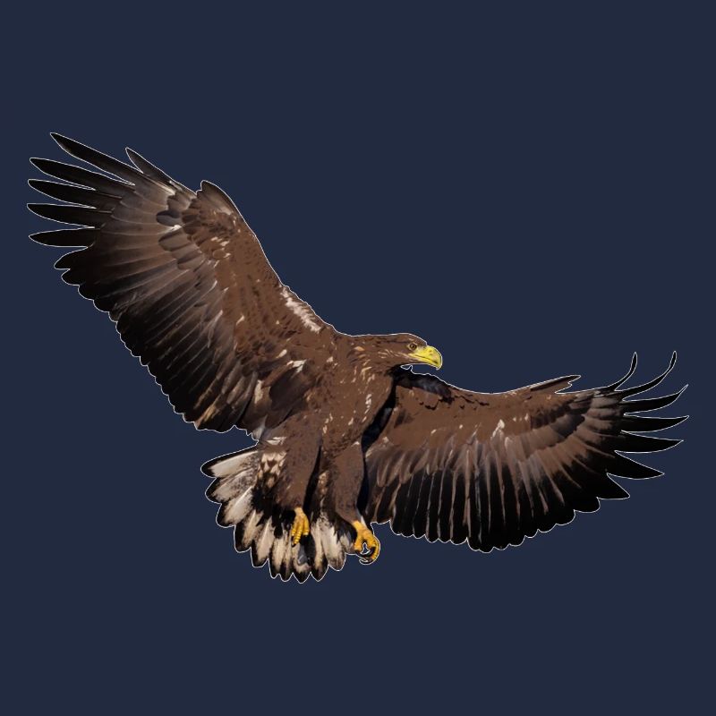 Aigles en l’état