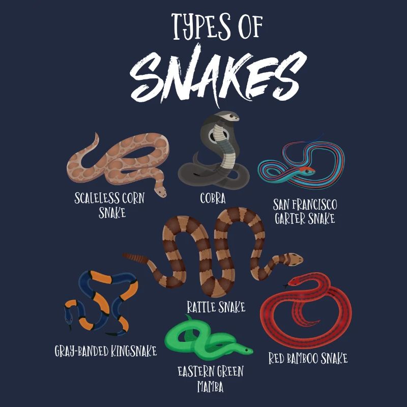 Types de serpents, Serpent, Types de serpents, Cobra