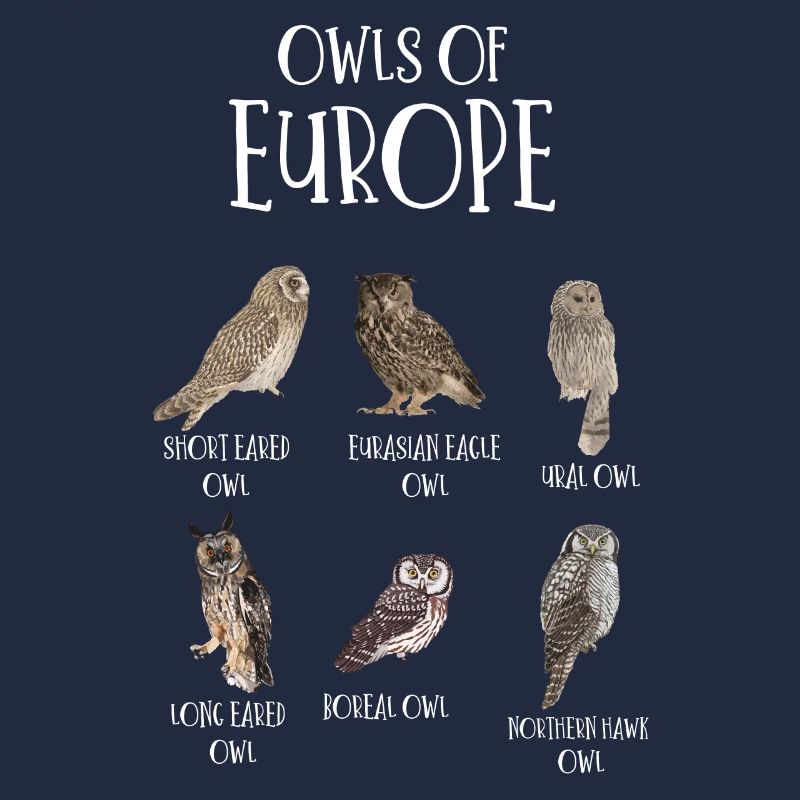 Eulenarten, Eulen & Kauze, Eule Fan