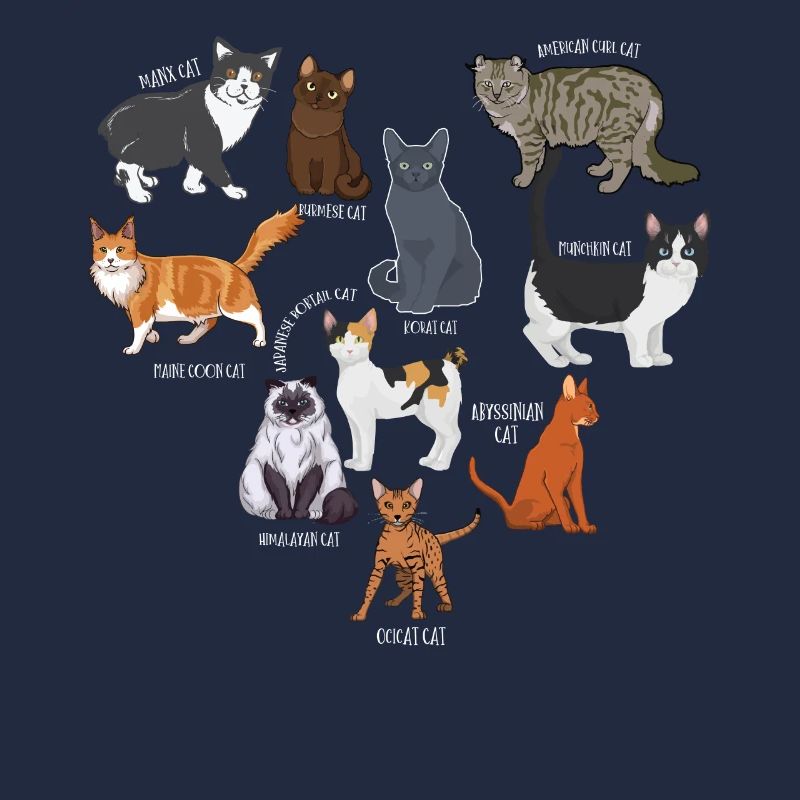 Espèces de chats, chats, chatons