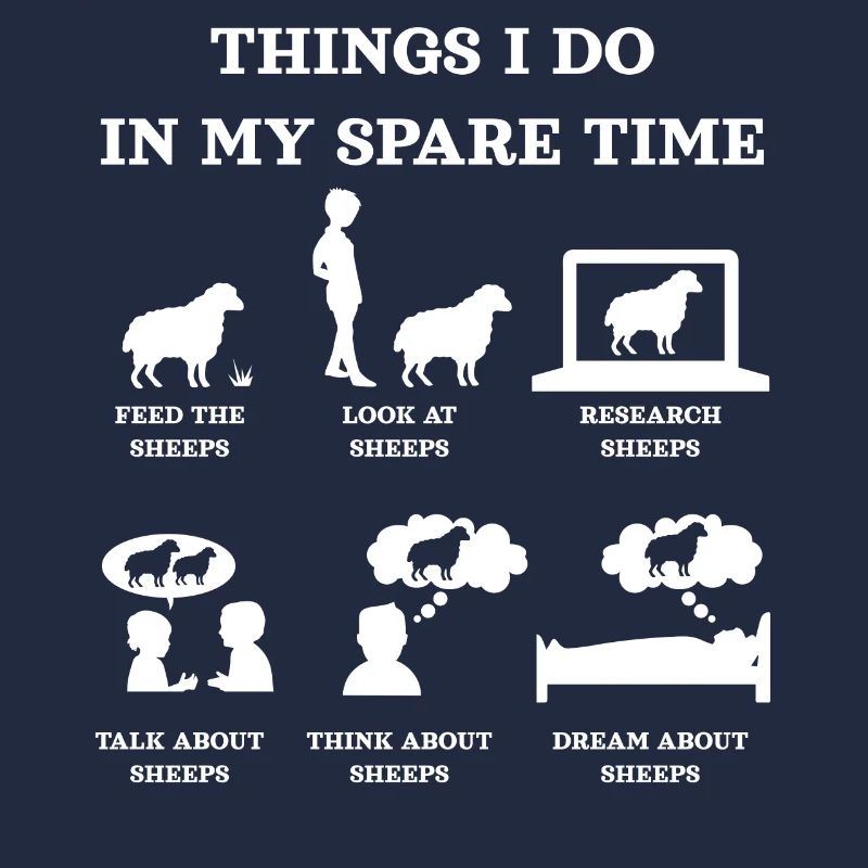 Sheep, sheep lovers, sheep