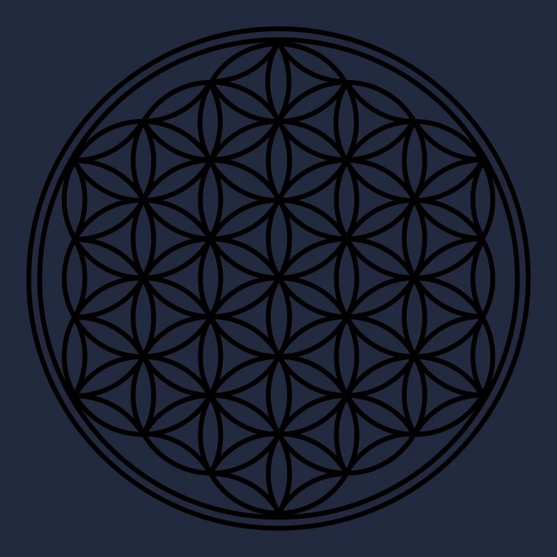 Blume des Lebens 2D