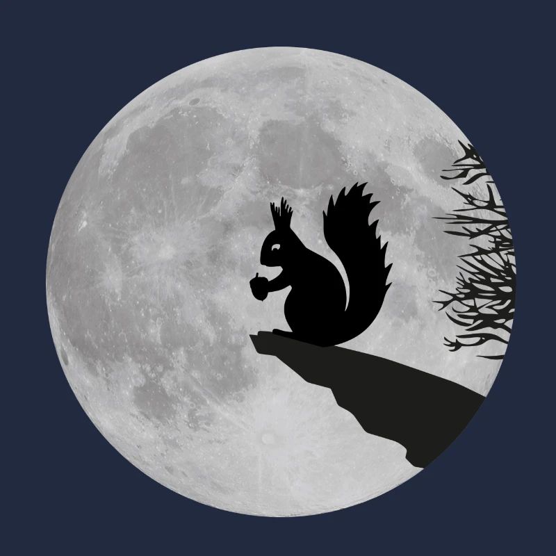 Mond Eichhörnchen Vollmond Nacht Eichel