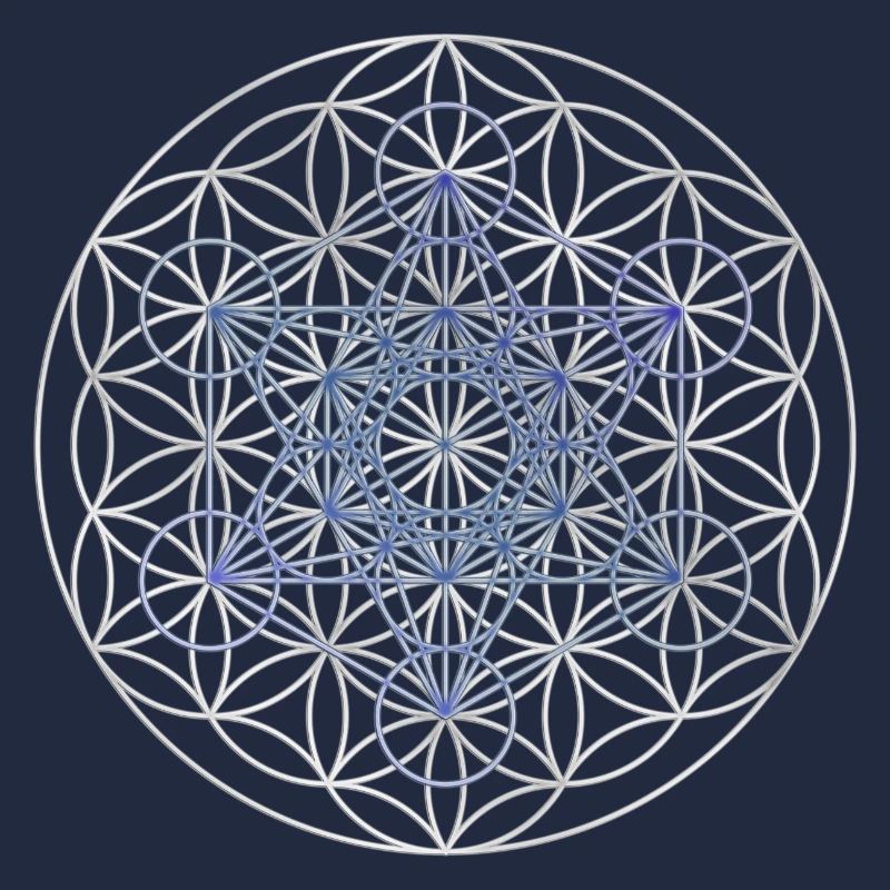 Le cube de Metatron - Fleur de la vie