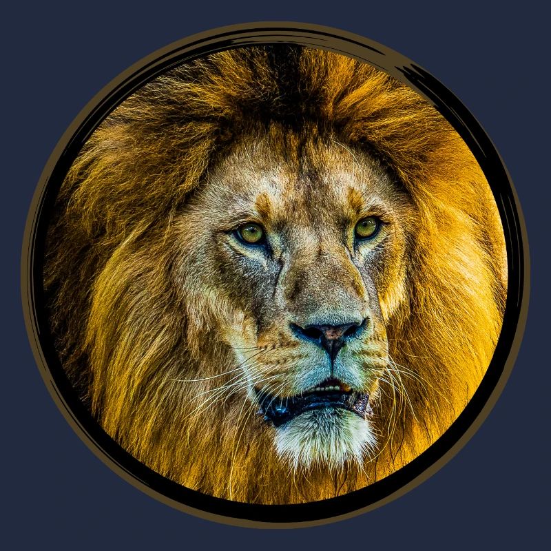 LÖWE