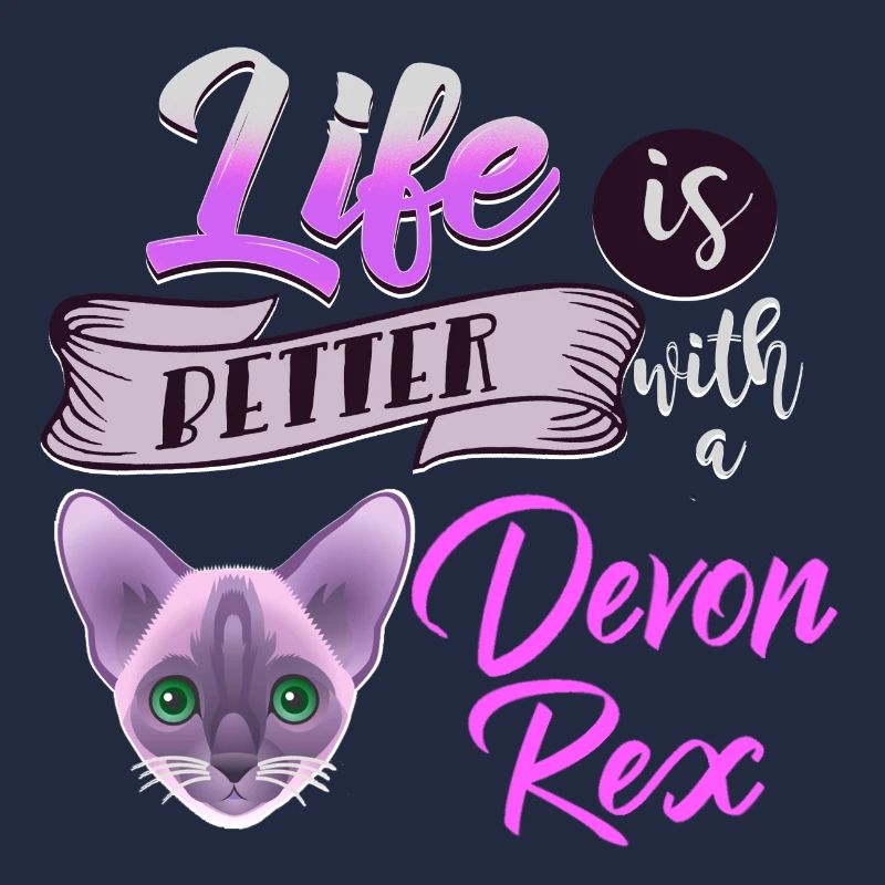 Chat Devon Rex chaton Miau Minou cadeau