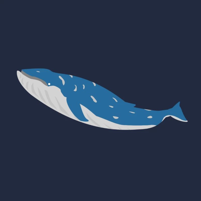 baleines bleues