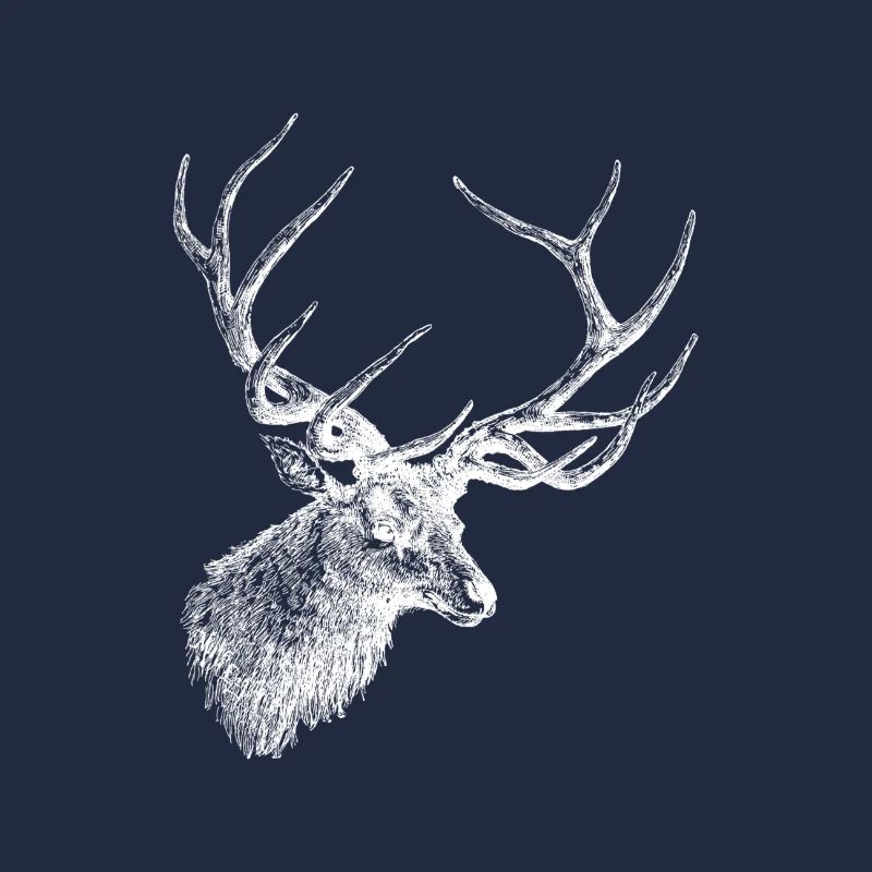 Hirsch - Hirschgeweih