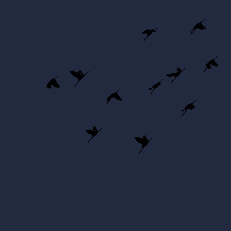 Vogelschwarm