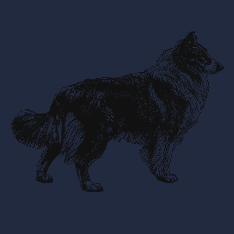 Collie