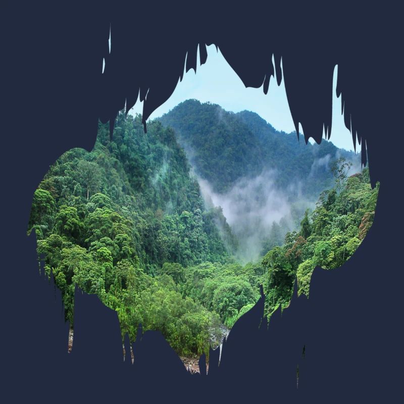 Forêt vierge Amazonie tache de couleur cadeau