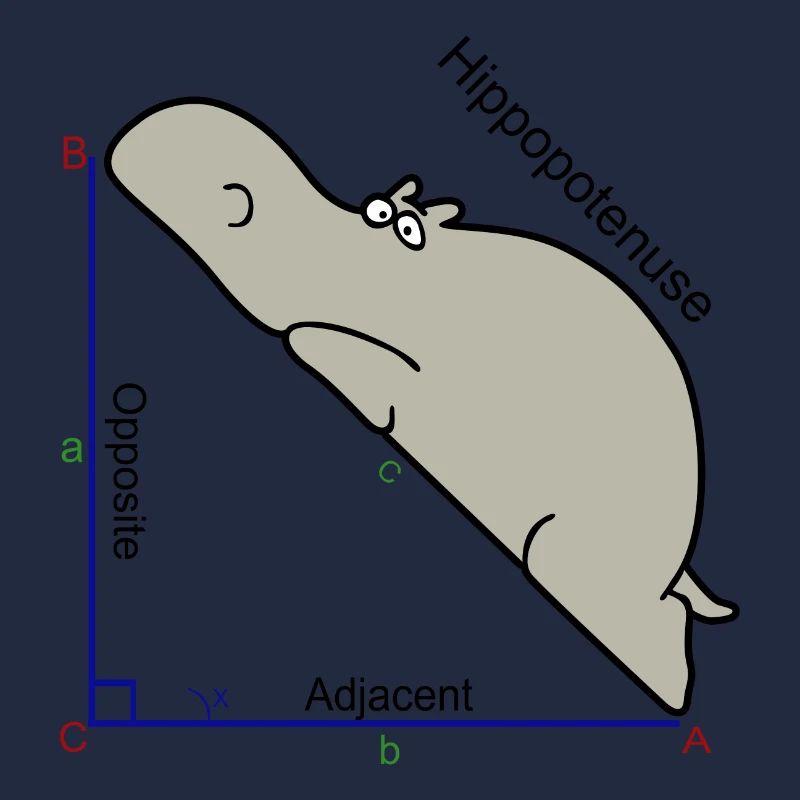 Hypotenuse Mathe Humor