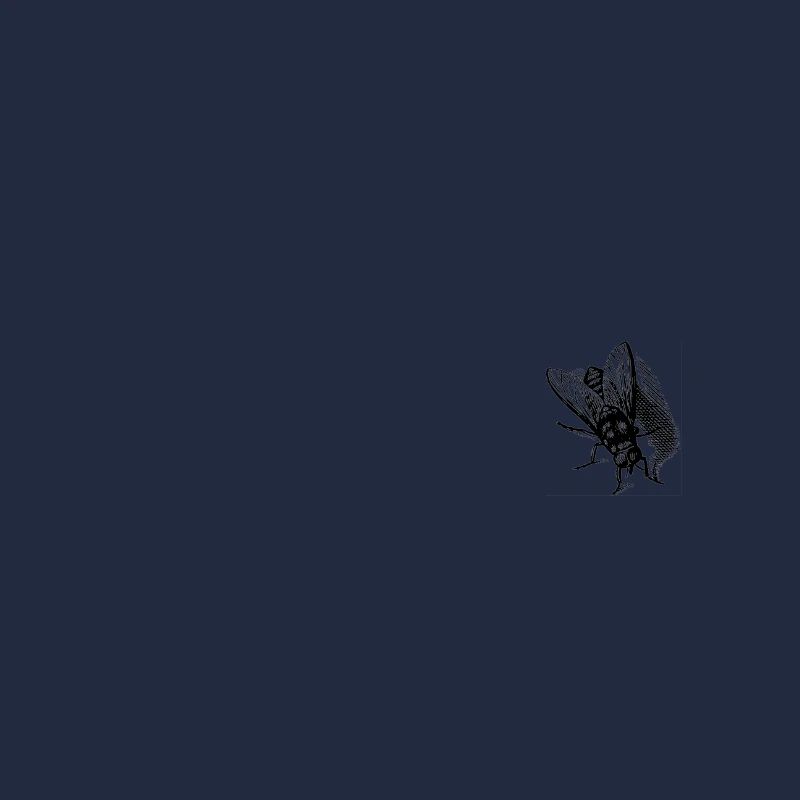 Fliegen