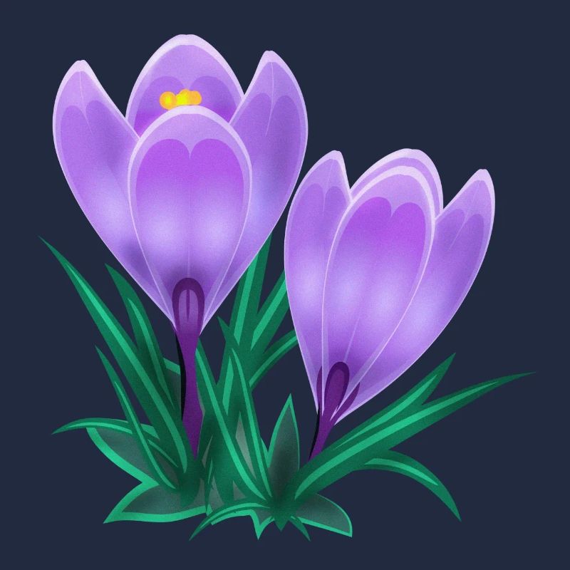 crocus