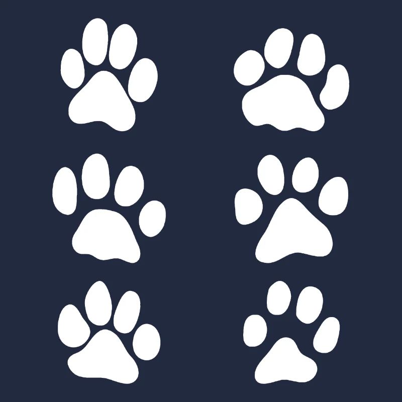 paws