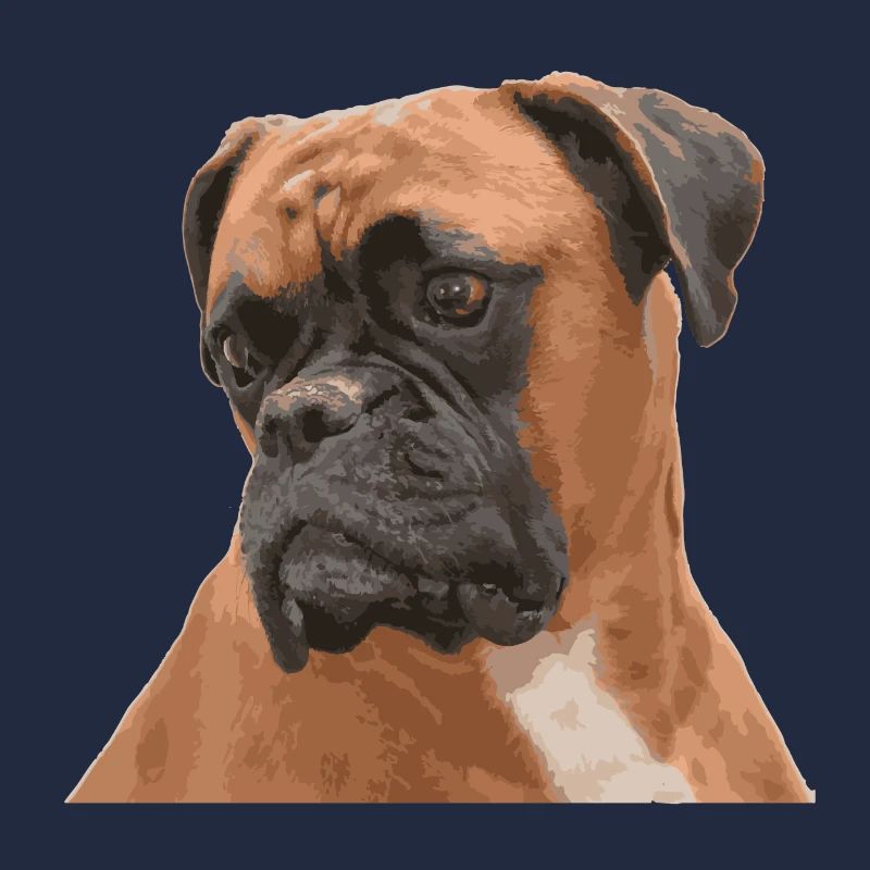 Sad Boxer