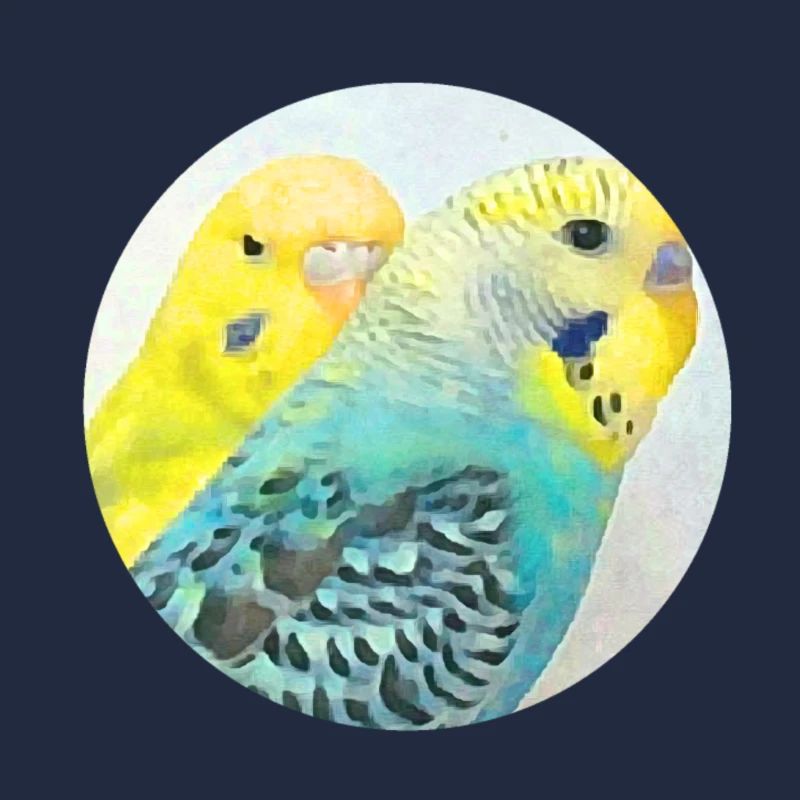 budgies