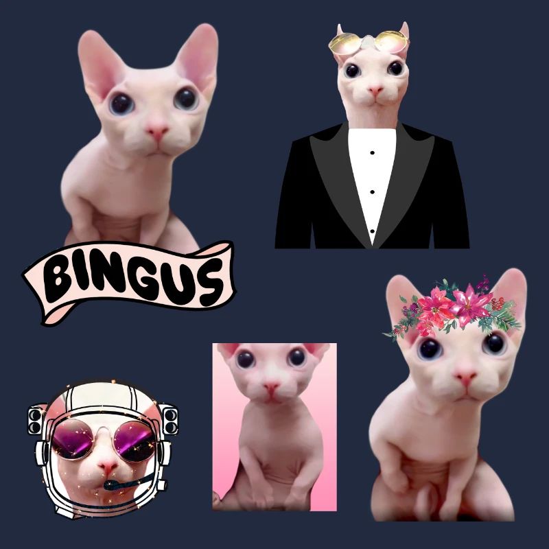 Bingus Meme
