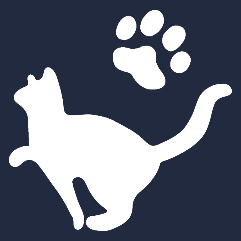 Chat Animal de compagnie