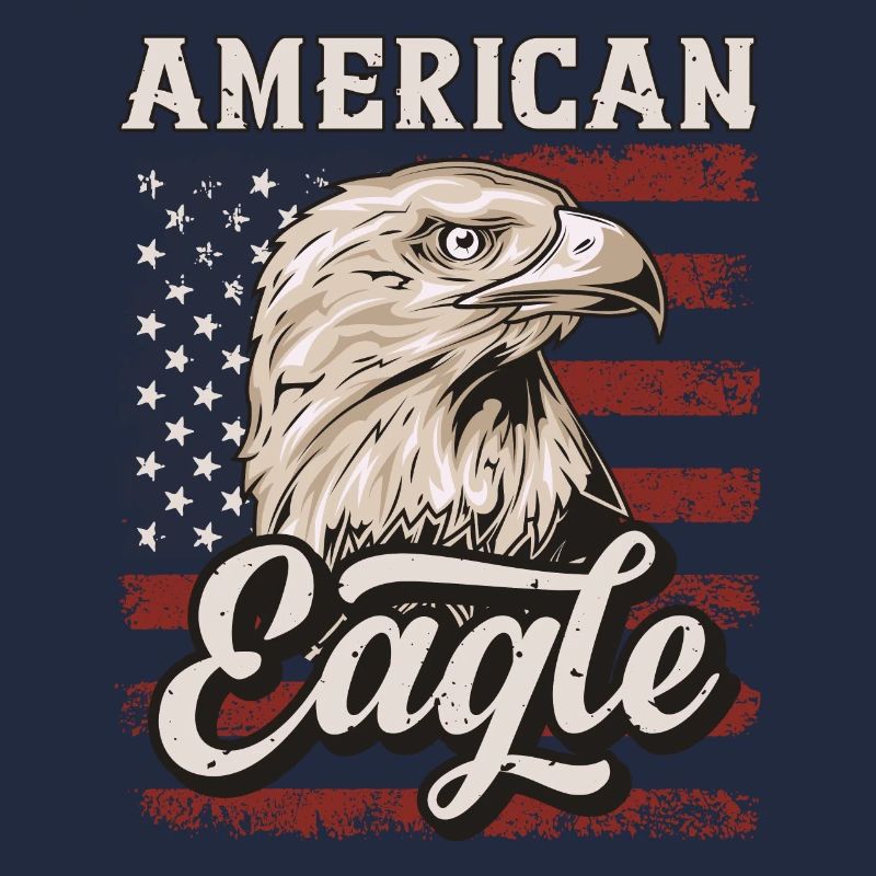 Bald Eagle American Eagle USA Flag