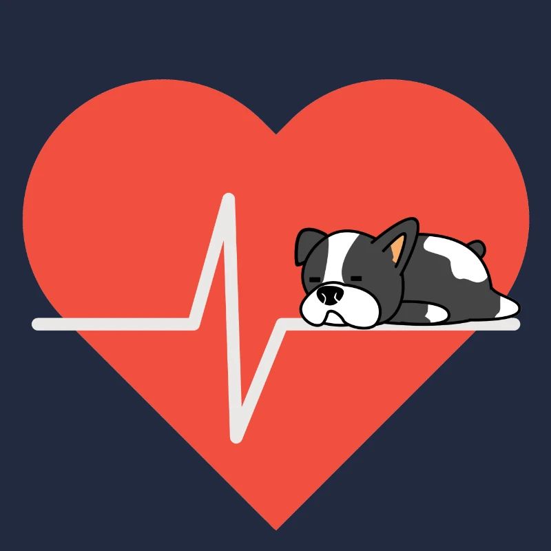 Hundeliebe Boston Terrier