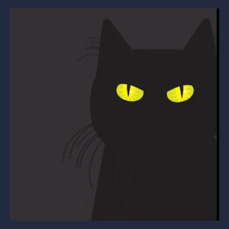 BLACK CAT VOUS REGARDE. Chat qui vous regarde !!