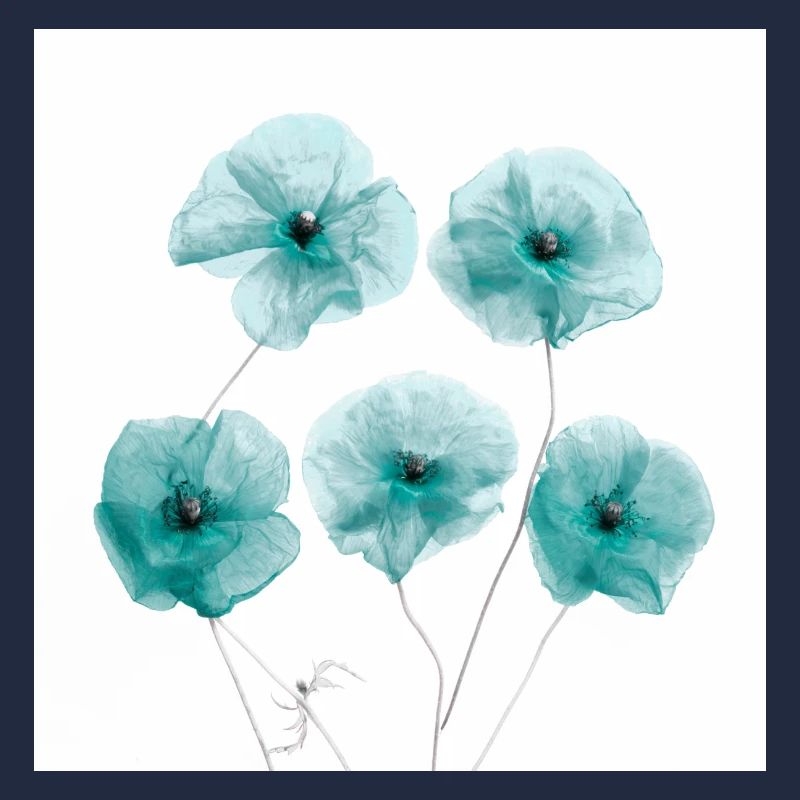 Fleurs de pavot Vert Blanc