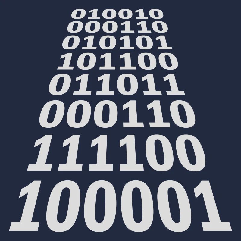 Binary Code Program Language