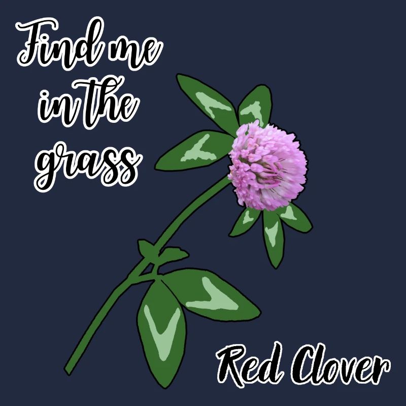 Trouvez-moi dans l’herbe... trèfle rouge