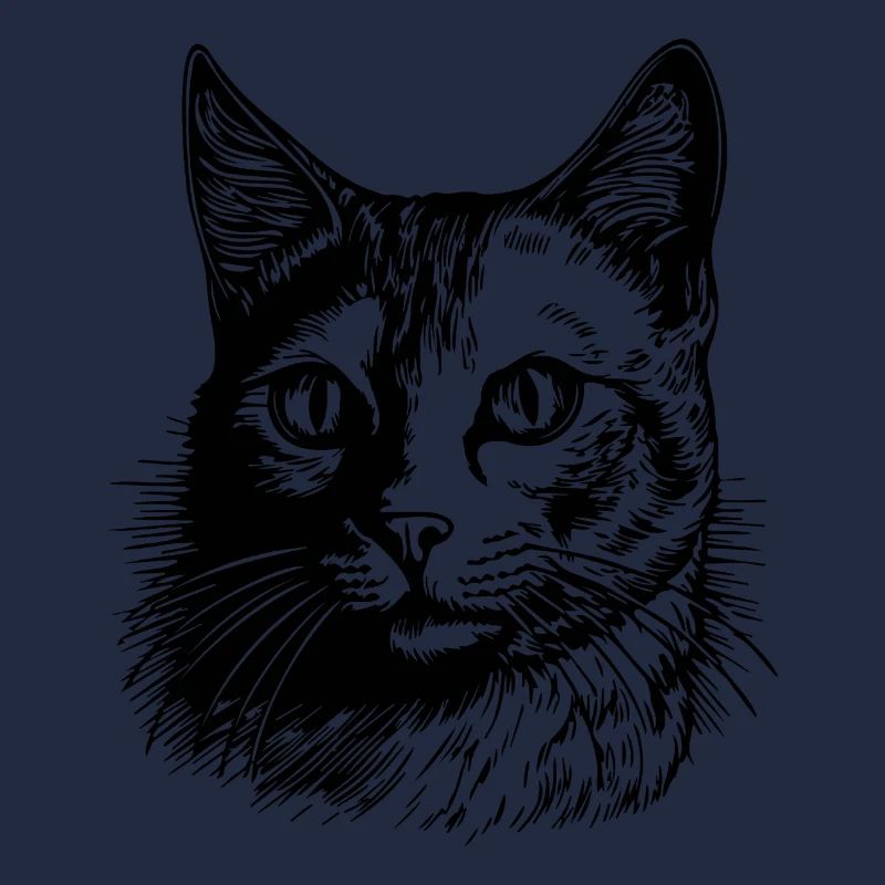 Chat chaton chaton dame