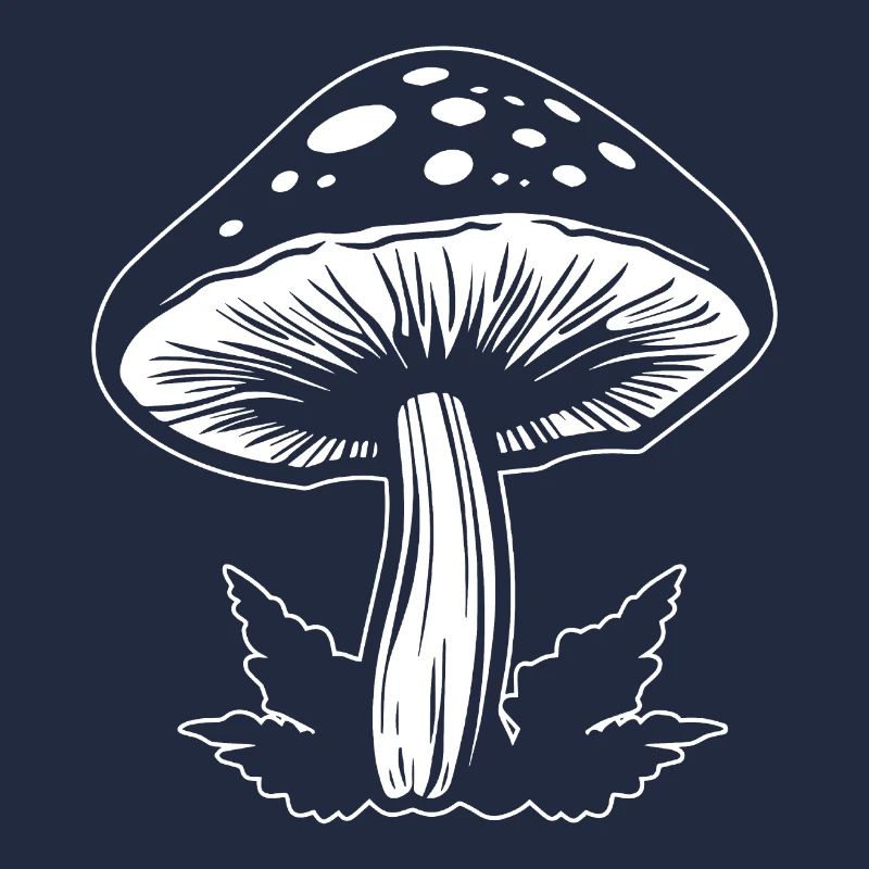 Champignon Cueilleur de champignons Champignons Champignons