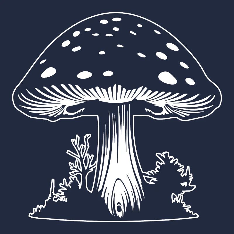 Champignon Cueilleur de champignons Champignons Champignons