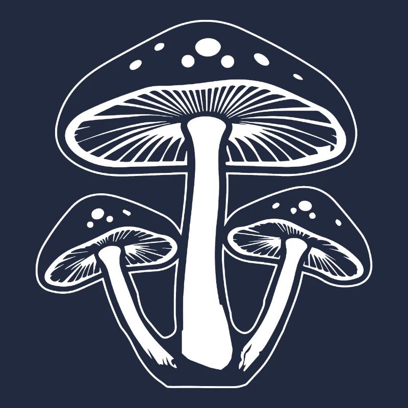Champignon Cueilleur de champignons Champignons Champignons