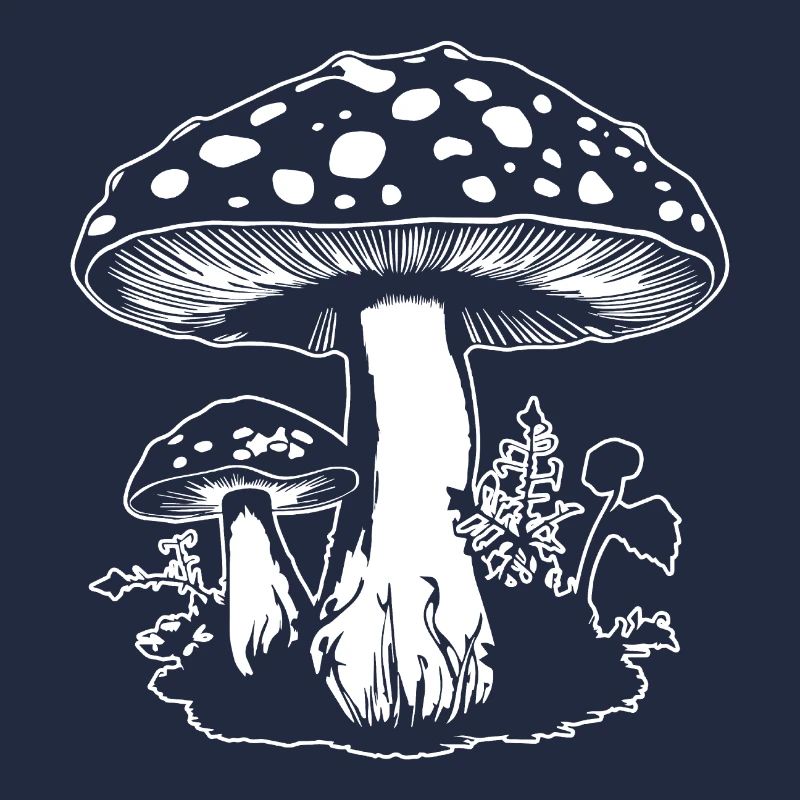 Champignon Cueilleur de champignons Champignons Champignons